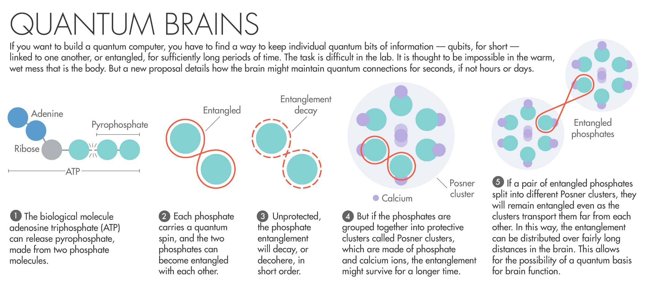 فرضية الترابط الكمي Quantum Entanglement