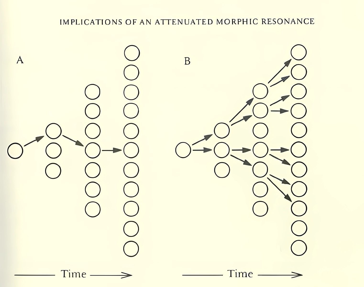 نظرية الحقول المورفية Morphic Fields